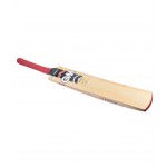 GM Purist Super Star Kashmir Willow Cricket Bat
